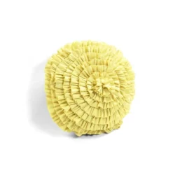 5pc Harley Quilt Set - Lush Décor -Lush Décor GUEST a3925529 3e50 4c64 9a40 0d184f3aeb56